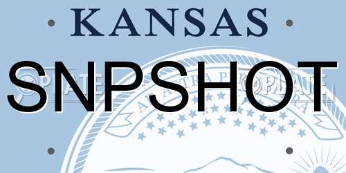 SNPSHOT Kansas License Plate