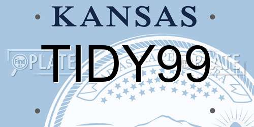 TIDY99 Kansas License Plate