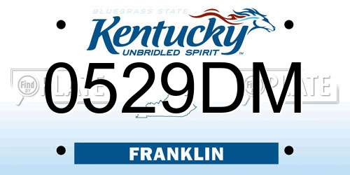 0529DM Kentucky License Plate