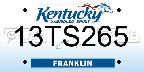 13TS265 Kentucky License Plate