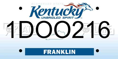 1DOO216 Kentucky License Plate