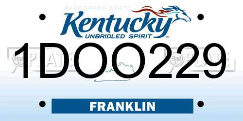1DOO229 Kentucky License Plate