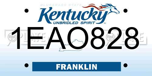 1EAO828 Kentucky License Plate