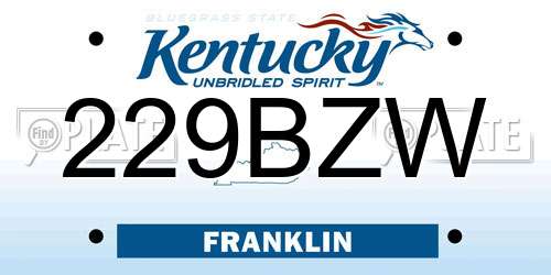 229BZW Kentucky License Plate