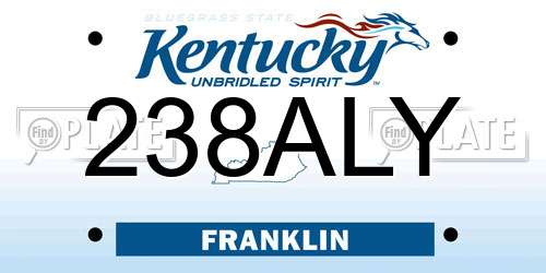 238ALY Kentucky License Plate