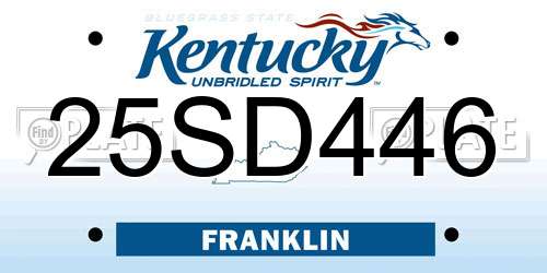 25SD446 Kentucky License Plate