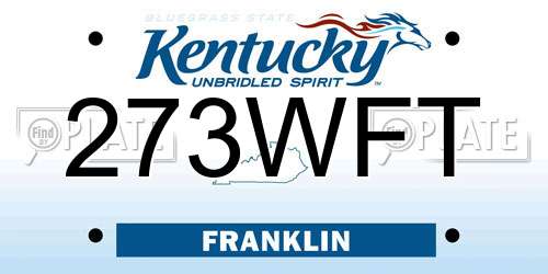 273WFT Kentucky License Plate