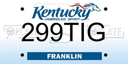 299TIG Kentucky License Plate