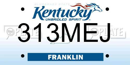 313MEJ Kentucky License Plate