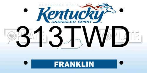 313TWD Kentucky License Plate