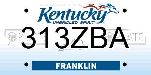 313ZBA Kentucky License Plate
