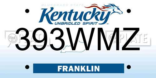 393WMZ Kentucky License Plate