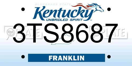 3TS8687 Kentucky License Plate