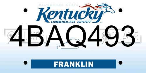 4BAQ493 Kentucky License Plate