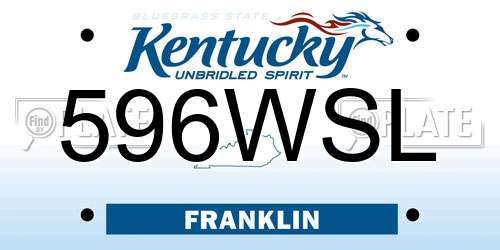 596WSL Kentucky License Plate