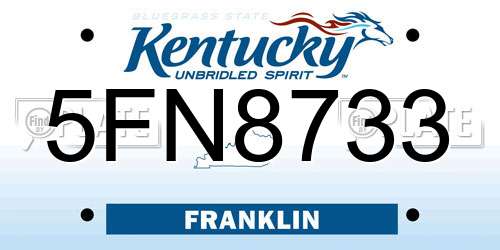 5FN8733 Kentucky License Plate