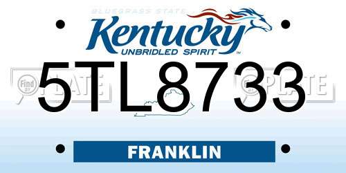 5TL8733 Kentucky License Plate