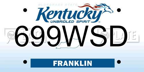 699WSD Kentucky License Plate