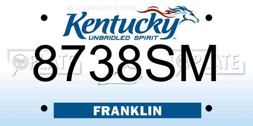 8738SM Kentucky License Plate