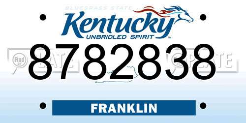 8782838 Kentucky License Plate