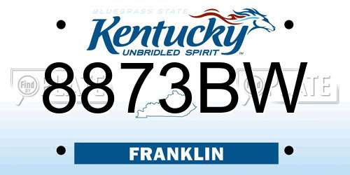 8873BW Kentucky License Plate