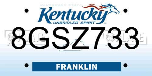 8GSZ733 Kentucky License Plate