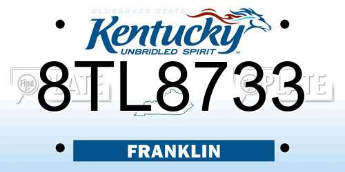 8TL8733 Kentucky License Plate
