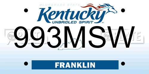 993MSW Kentucky License Plate