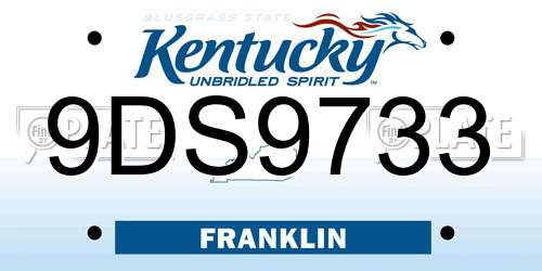 9DS9733 Kentucky License Plate