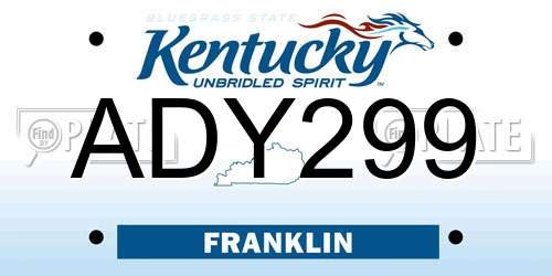 ADY299 Kentucky License Plate