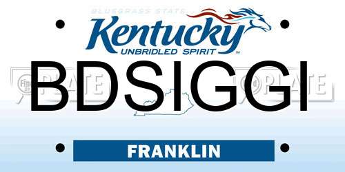 BDSIGGI Kentucky License Plate