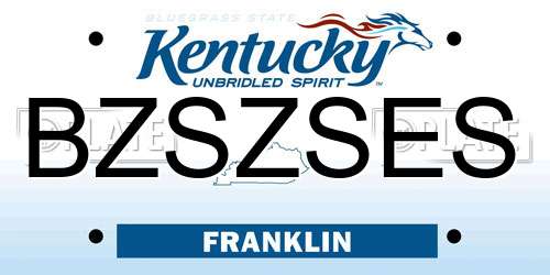 BZSZSES Kentucky License Plate