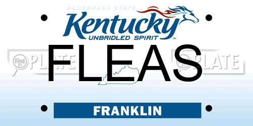 FLEAS Kentucky License Plate