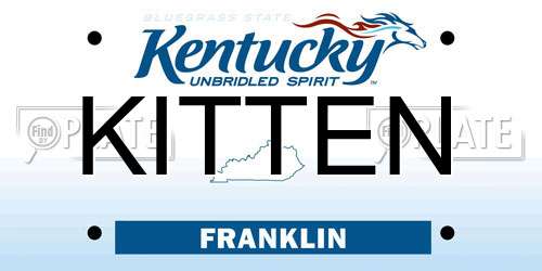 KITTEN Kentucky License Plate