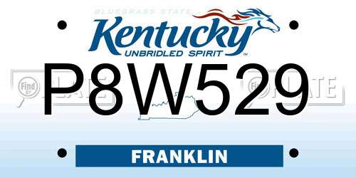 P8W529 Kentucky License Plate