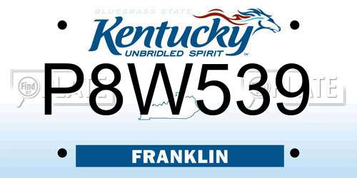 P8W539 Kentucky License Plate