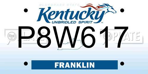 P8W617 Kentucky License Plate