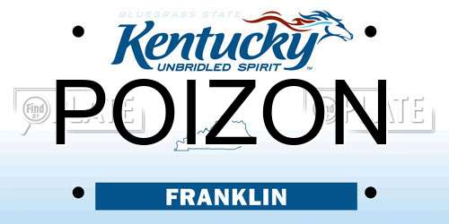 POIZON Kentucky License Plate