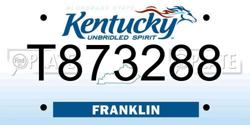 T873288 Kentucky License Plate