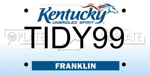 TIDY99 Kentucky License Plate