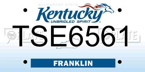 TSE6561 Kentucky License Plate