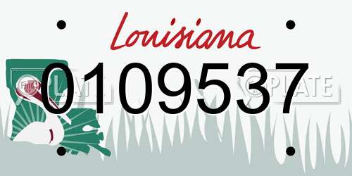 0109537 Louisiana License Plate