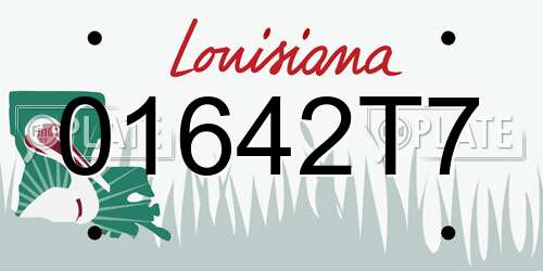 01642T7 Louisiana License Plate