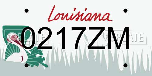 0217ZM Louisiana License Plate