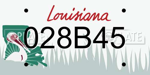 028B45 Louisiana License Plate