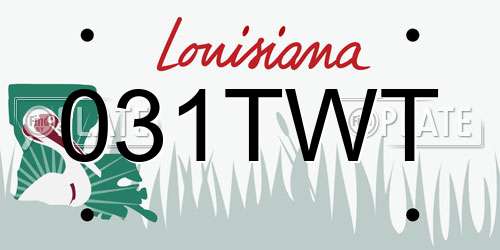 031TWT Louisiana License Plate