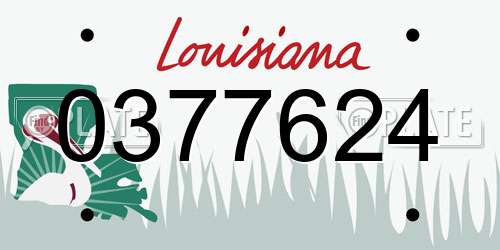 0377624 Louisiana License Plate