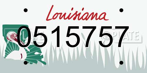 0515757 Louisiana License Plate