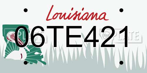 06TE421 Louisiana License Plate