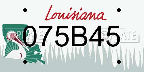 075B45 Louisiana License Plate